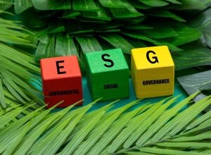ESG: три буквы, которые меняют мир