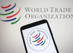 Что такое ВТО и чем она занимается