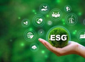 Как инвестировать в бизнес по принципу ESG